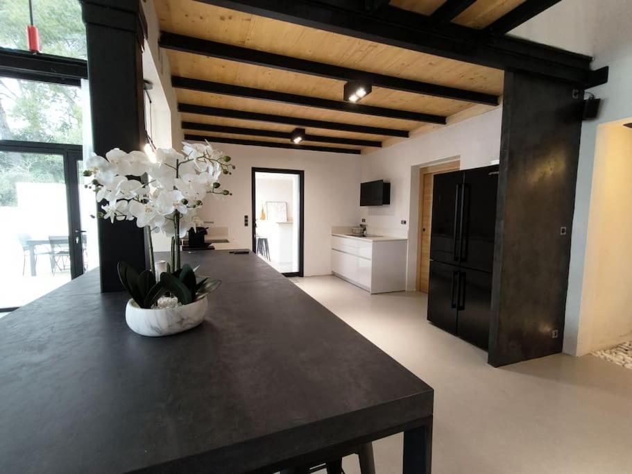 Industrial Luxury Nimes & Arles Villa Beaucaire  Eksteriør bilde